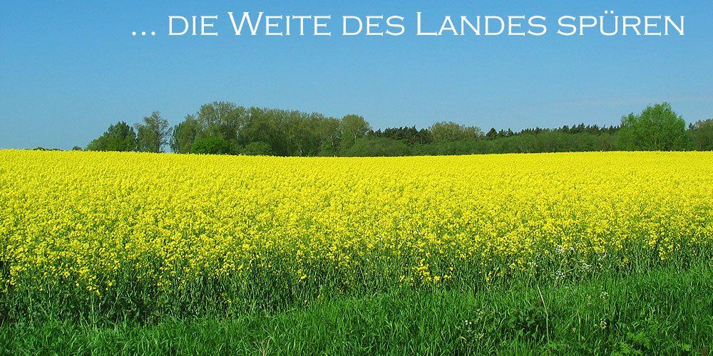Evert Ferienwohnungen — Bild 2