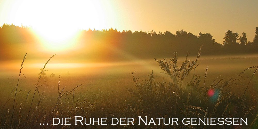 Evert Ferienwohnungen — Bild 4